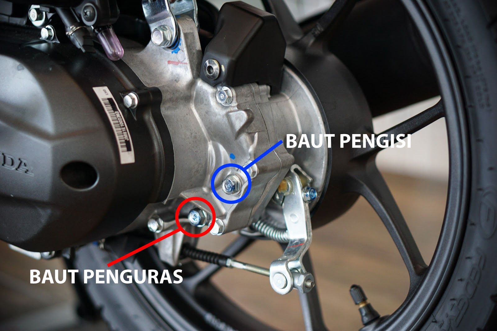 Begini Cara Mudah Dan Cepat Mengganti Oli Gardan Motor Beat